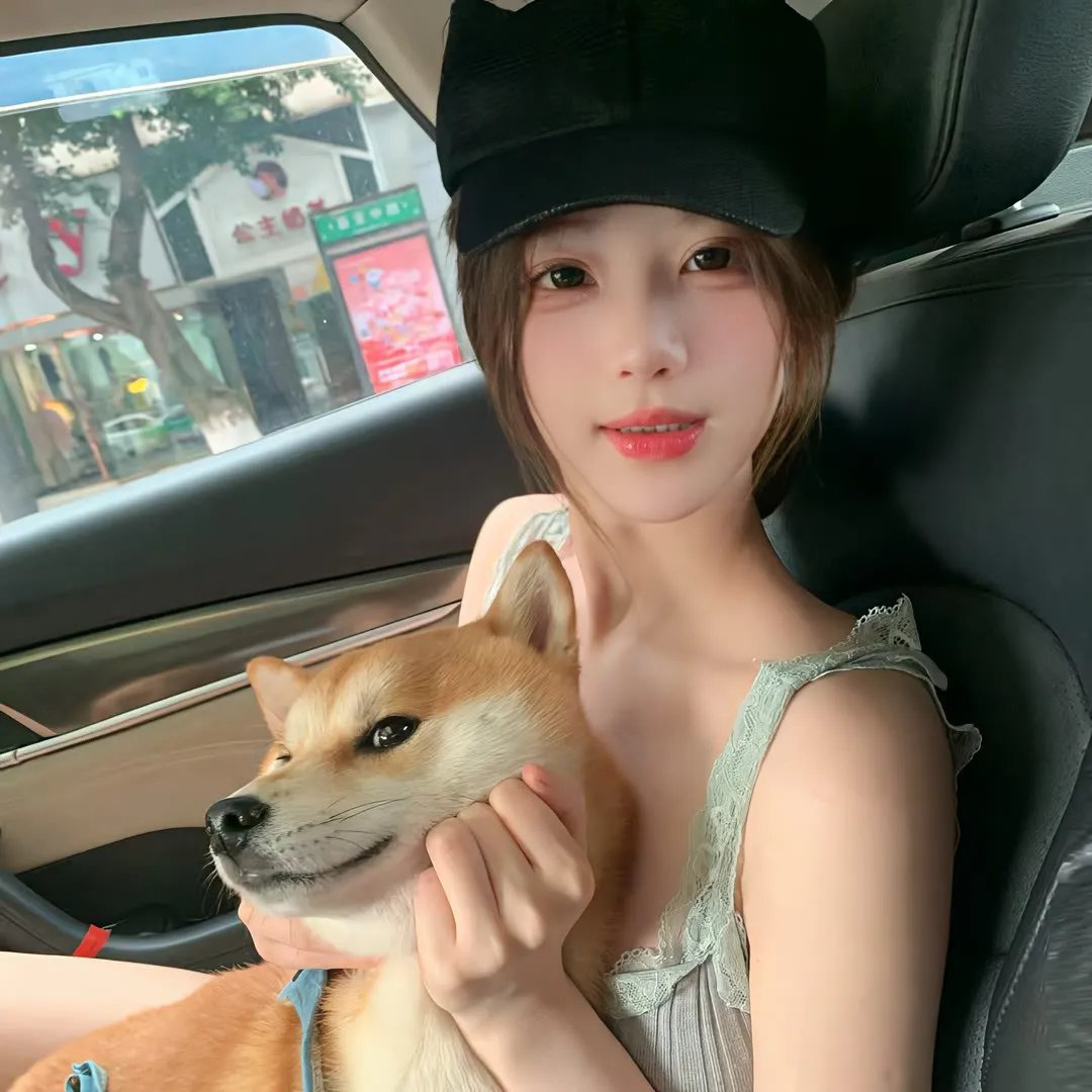 一条狗的回家路