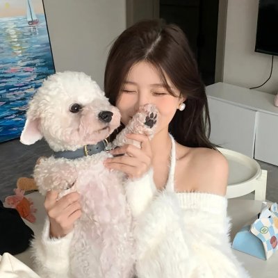 假发大作战